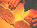 P1010034-1.jpg